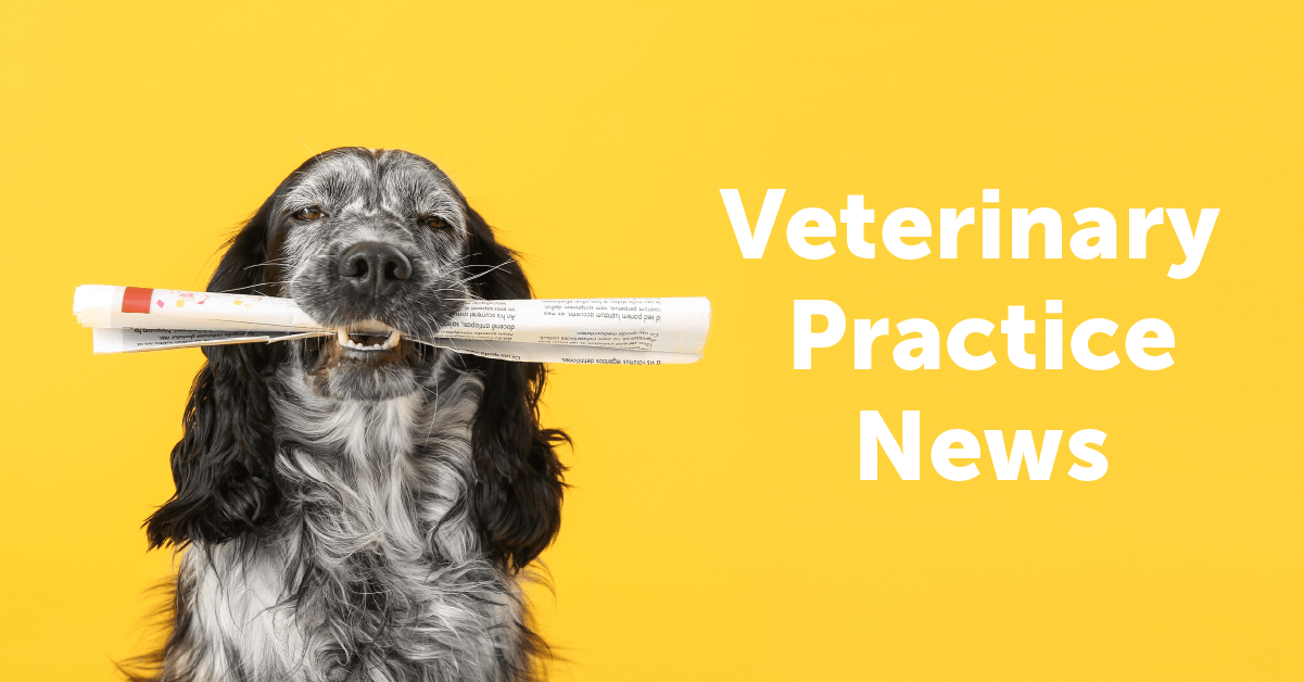 Best Veterinary Social Media Accounts to Follow iMatrix