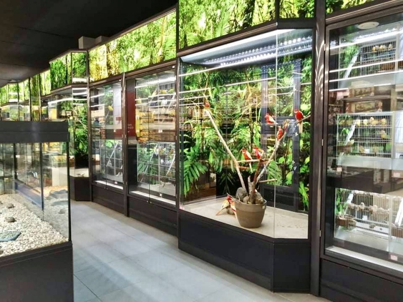 Terranimo la plus grande animalerie de l'île ouvre ses portes au Port