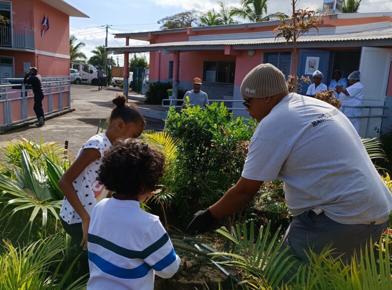 SaintPaul les élèves de l’école LecontedeLisle se mettent au vert