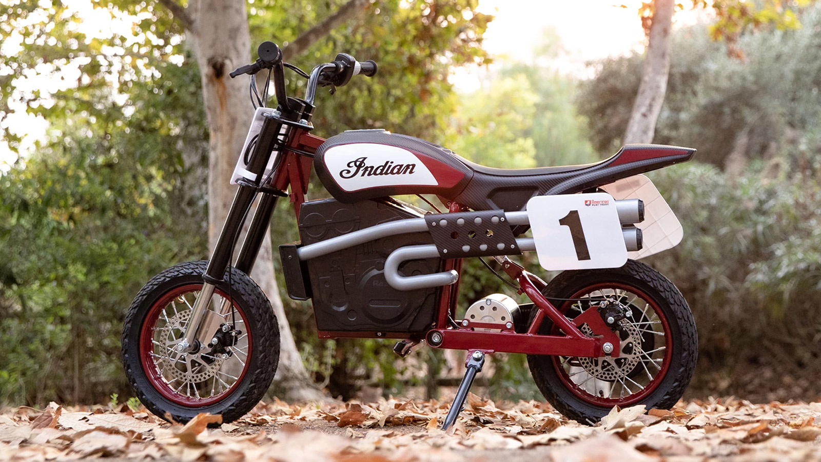 Indian Motorcycle’s eFTR Jr. Is An eBike Designed For Young Riders