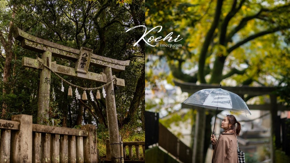 日本高知久礼八幡宮：超特別用「爬」的破除厄運消災石