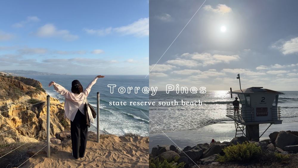 聖地牙哥Torrey Pines夕陽拍照推薦：步道路線、停車資訊