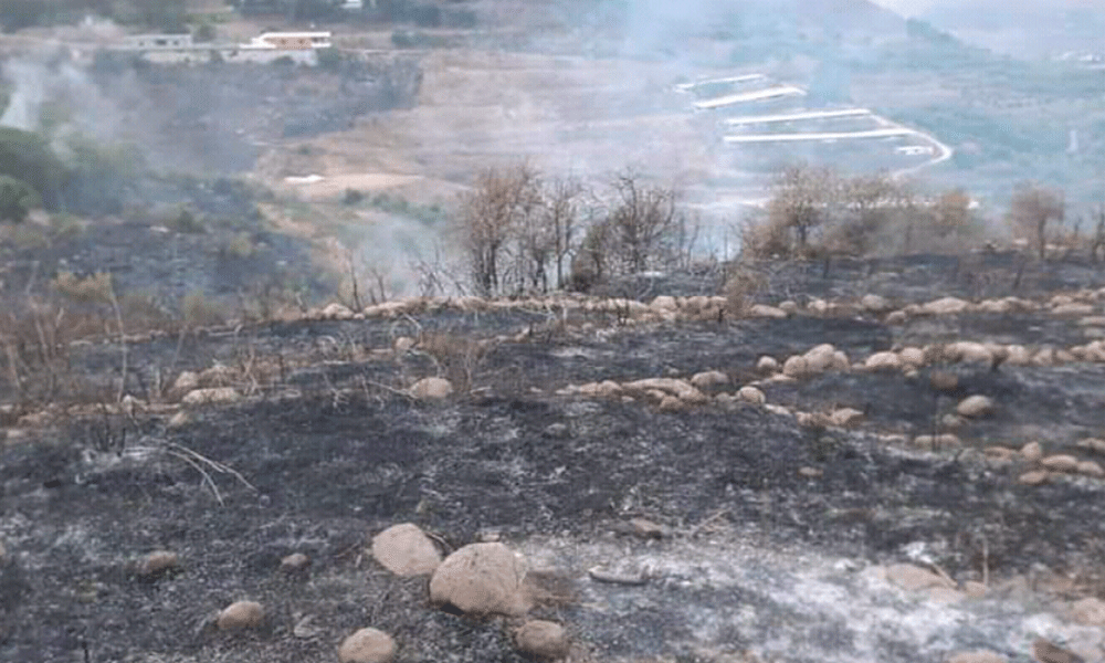 IMLebanon حريق في مشحا العكارية.. والدفاع المدني يتحرك