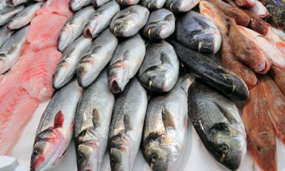 IMLebanon عقوبات أميركية على الأسماك الروسية