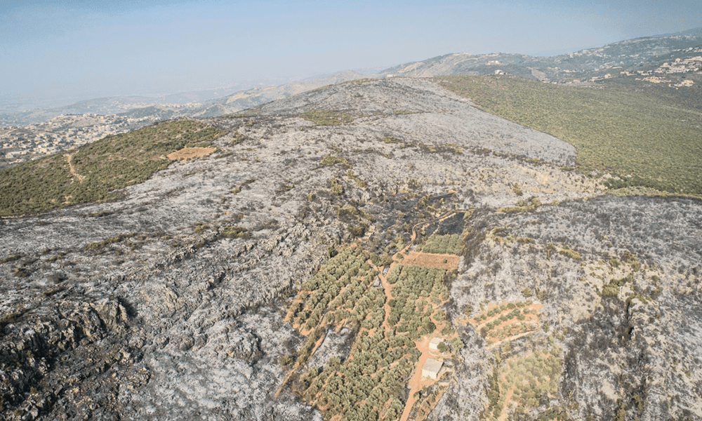 IMLebanon حرائق عكار.. نتائج مدمرة وكارثية!