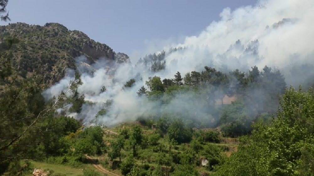 IMLebanon تجدد النيران في جبل أكروم… ومناشدة من الأهالي