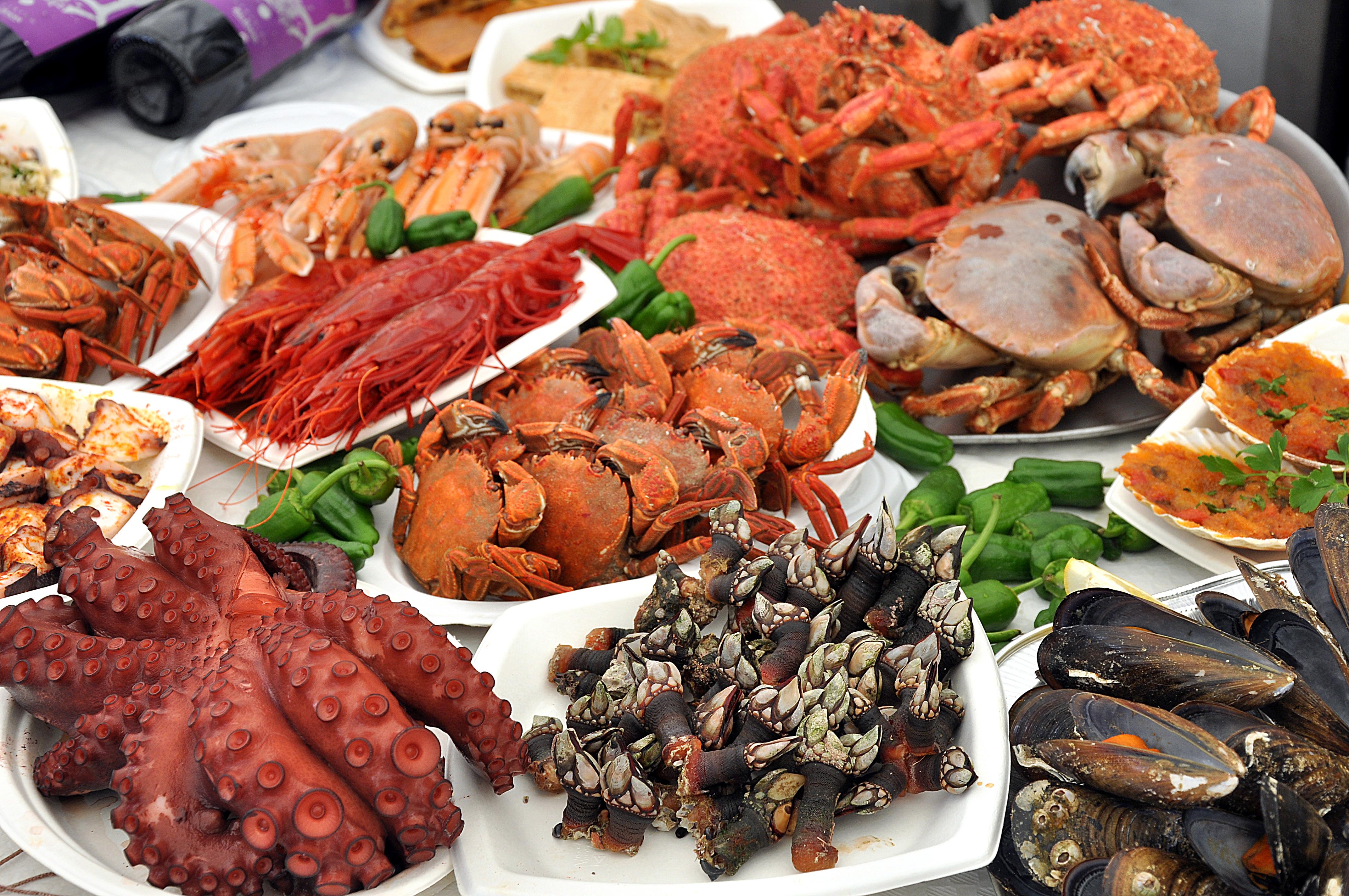 Propiedades y Beneficios del Marisco El Blog de la Obesidad