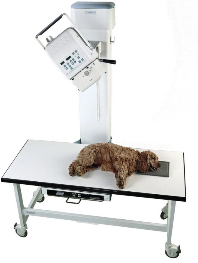 SEDECAL DUALVET veterinary xray 8KW Imex Medical Limited