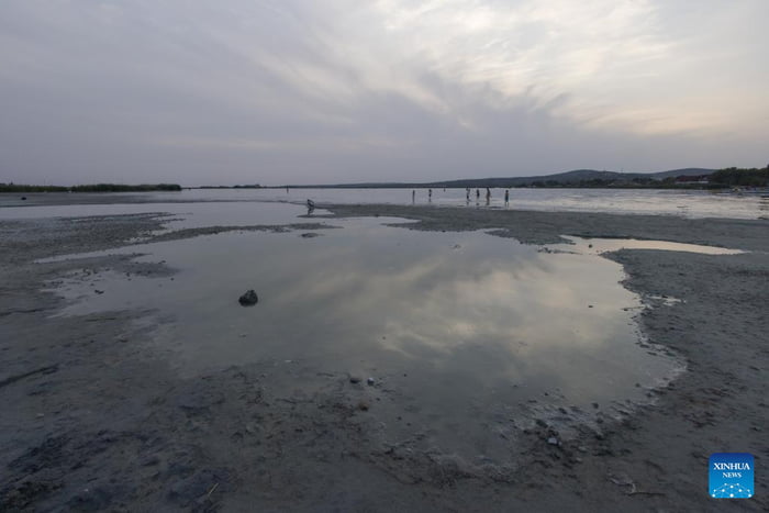 I doubt it, but is it only in Hungary? The drought 'killing' the lakes, and so the wildlife. Now they're talking about saving it, but it's probably too late.  (Photo by Attila Volgyi/Xinhua)
