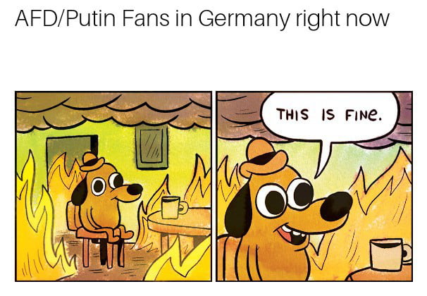 400k Email leak from pro russia AFD. Afdbubble ist hot right now
