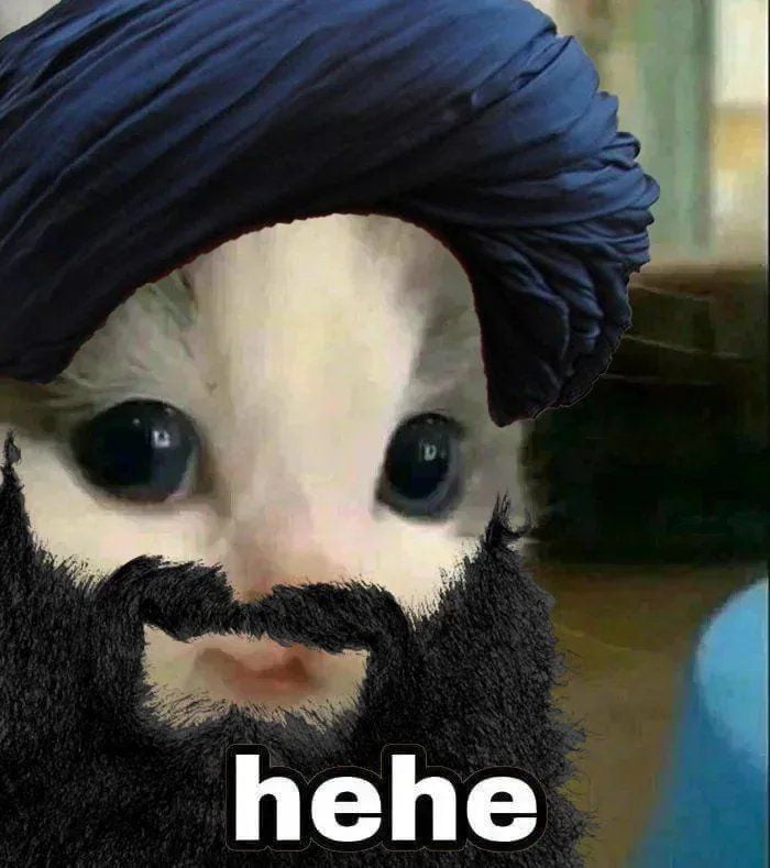 Give me every variation of hehe cat that you got. 9GAG