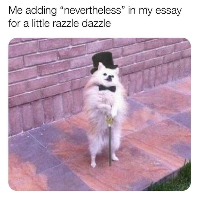 Indeed, I am a well behaved canine