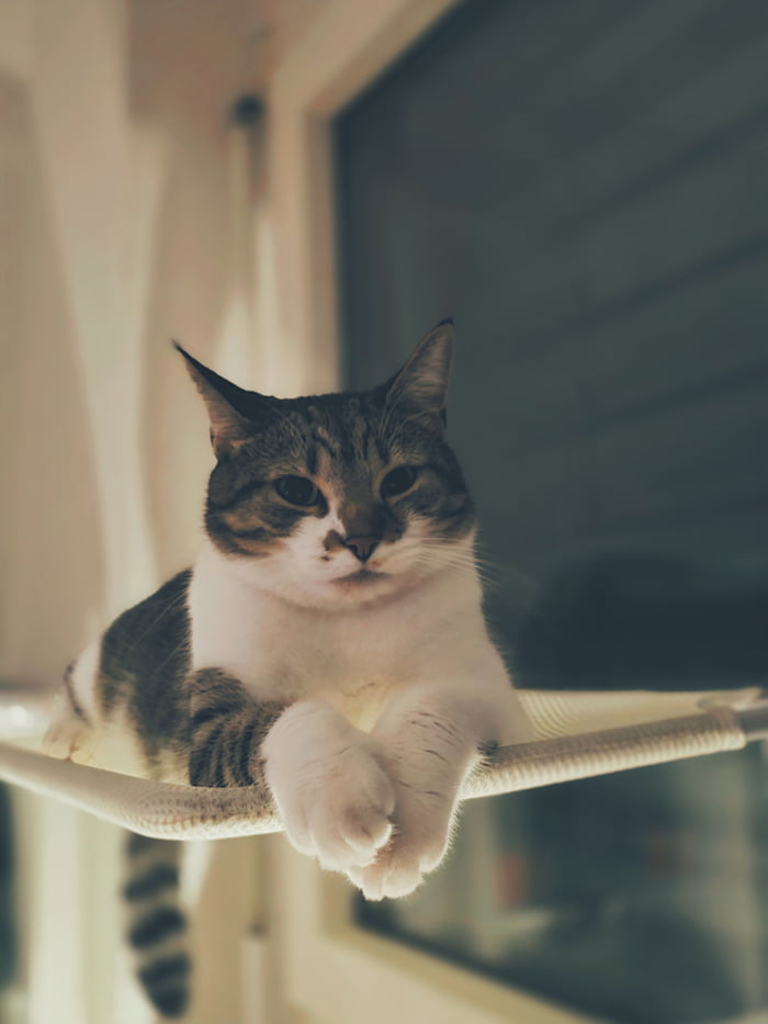 It starts to feel like monday morning :(