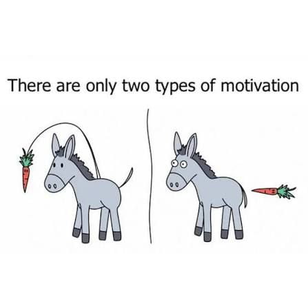 Two types of motivation