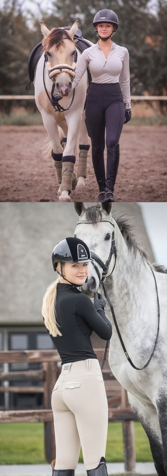Fellow horse enthusiast