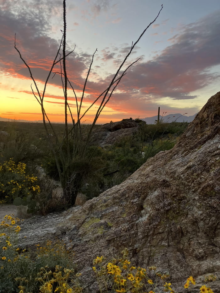 Arizona sunsets never miss