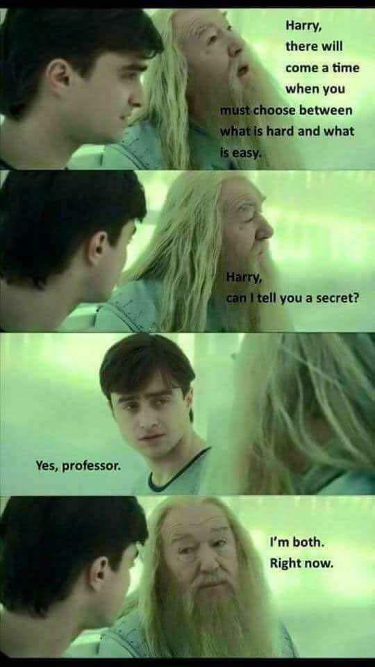 Dumbledore really chose chaos today