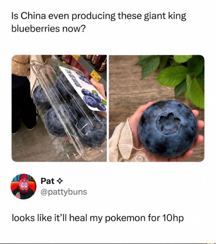Berry big snack