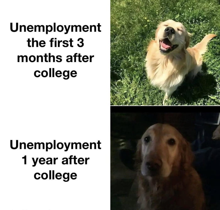 Reality hits hard
