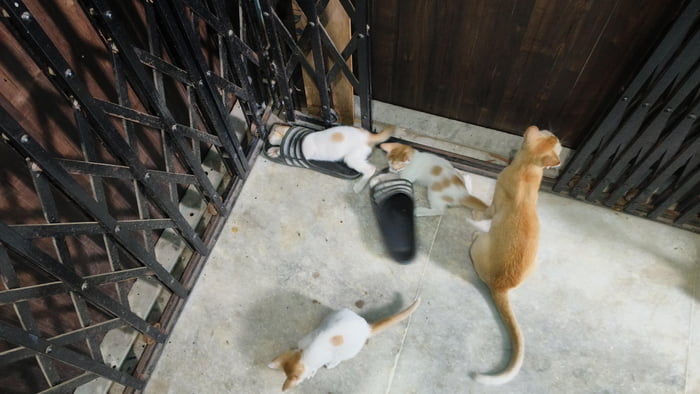 Looks like a serious training session in progress