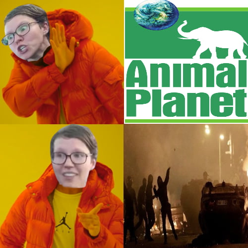 Apes together strong
