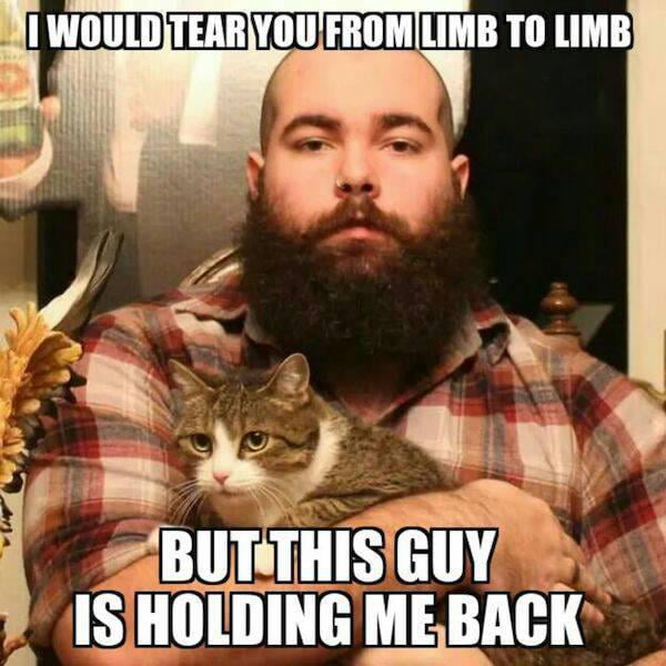 Cat is the only thing keeping the peace