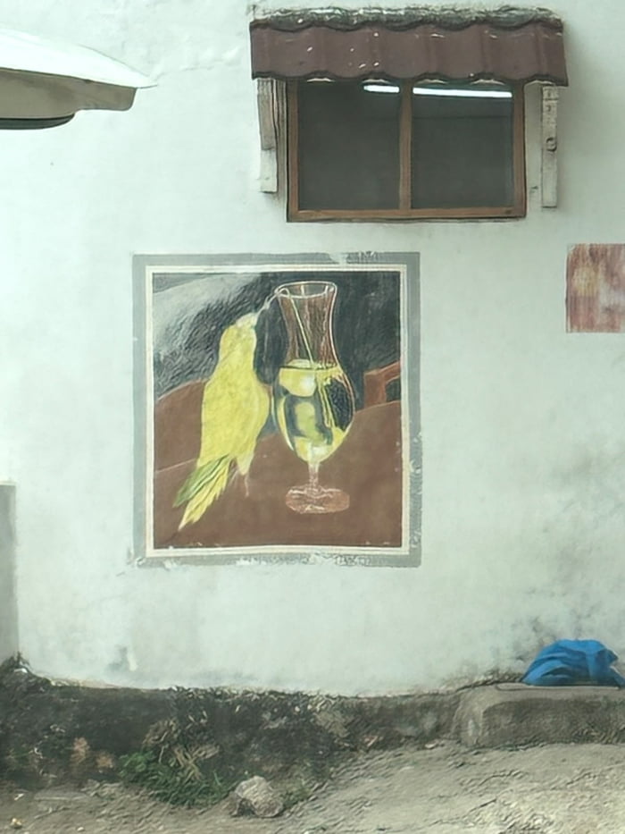 Spotted today in Zanzibar