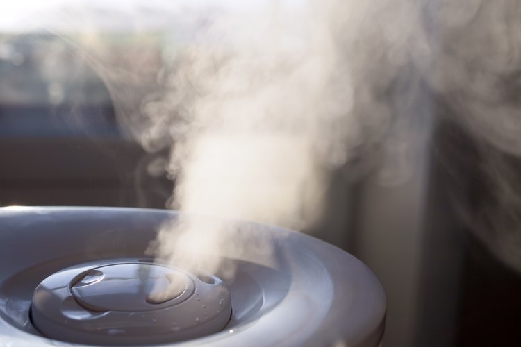 Vicks Humidifier Instructions | LEAFtv