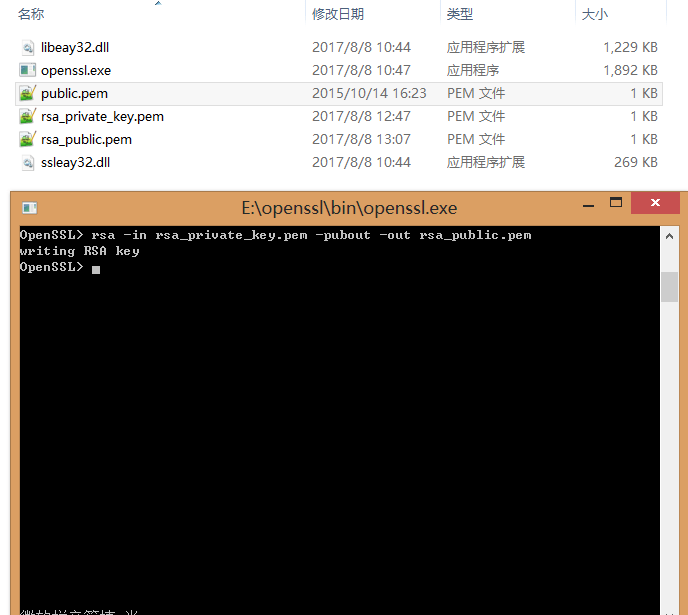 How to use openssl to generate RSA public key and private key pair