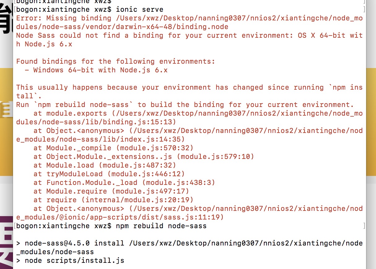 Error Node Sass does not yet support your current environment Windows