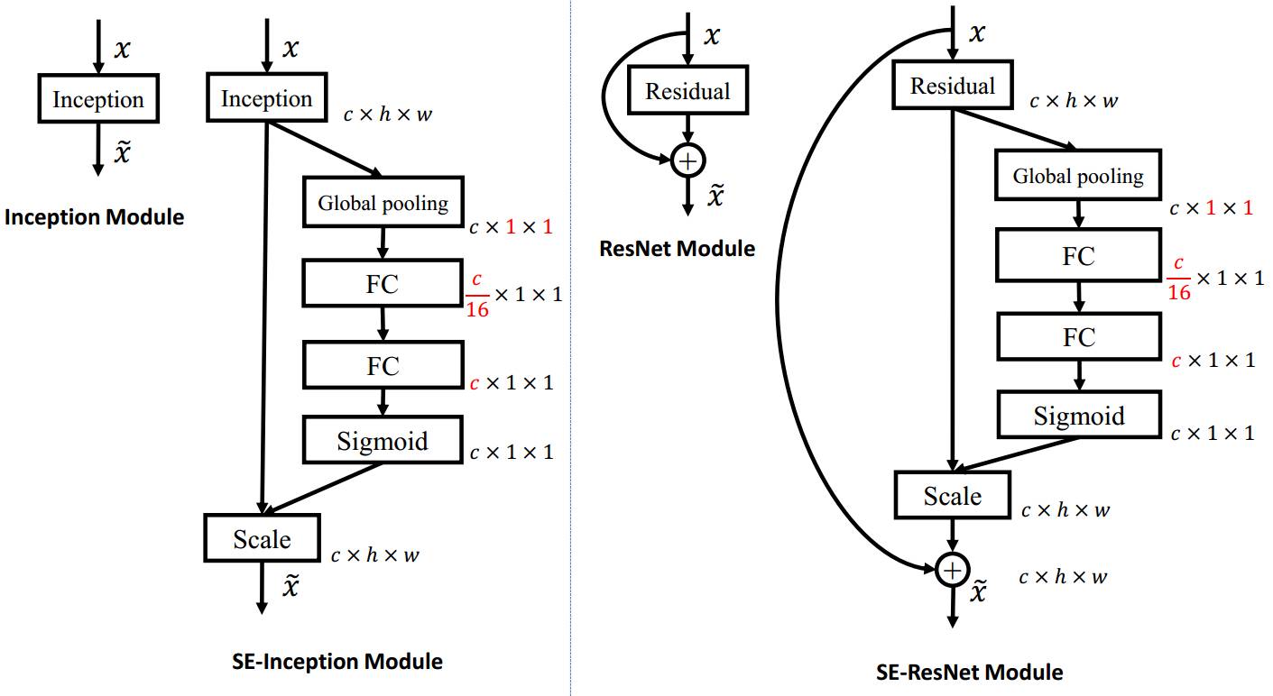 Networks）网络详解CSDN博客