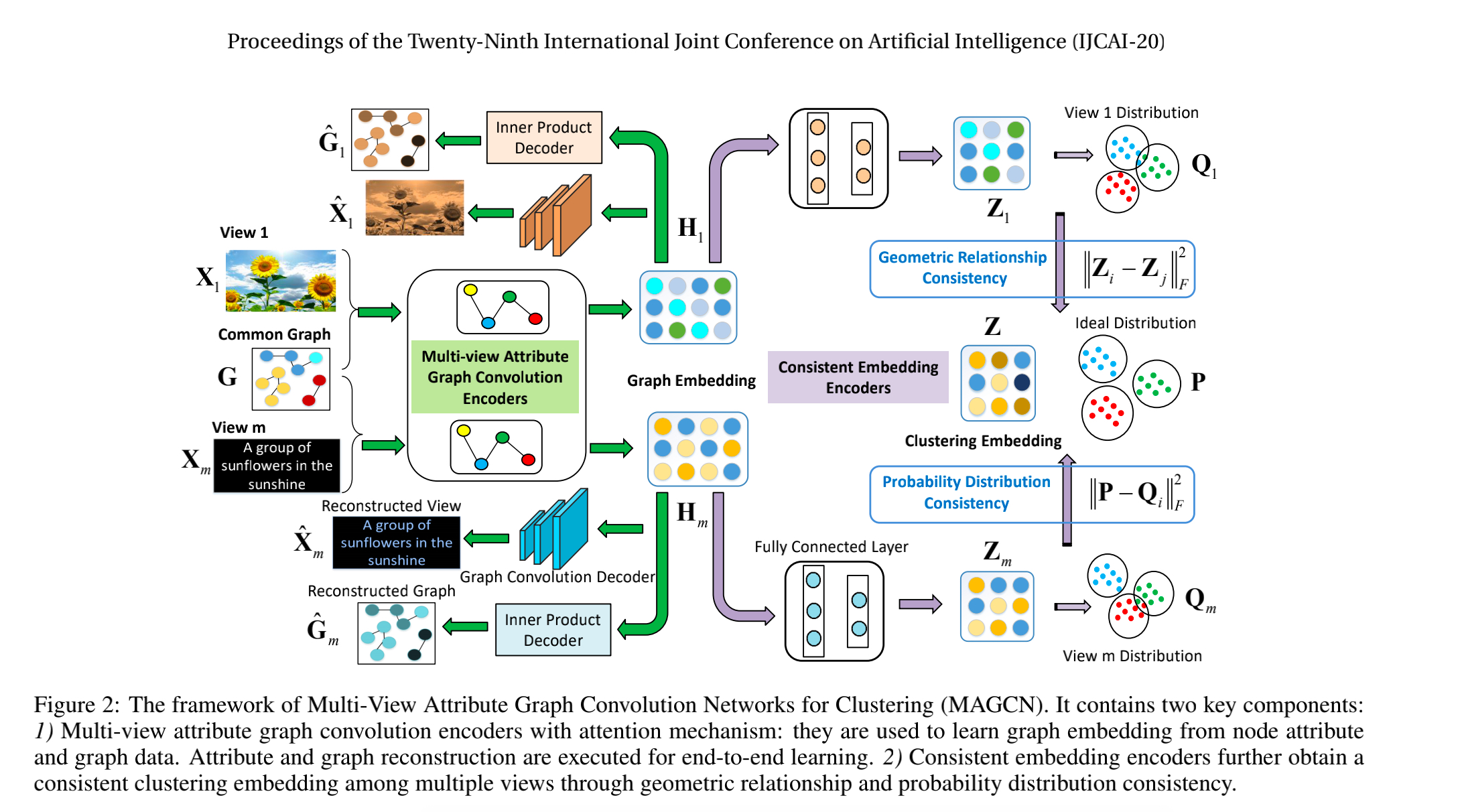 MultiView Attribute Graph Convolution Networks for ClusteringCSDN博客