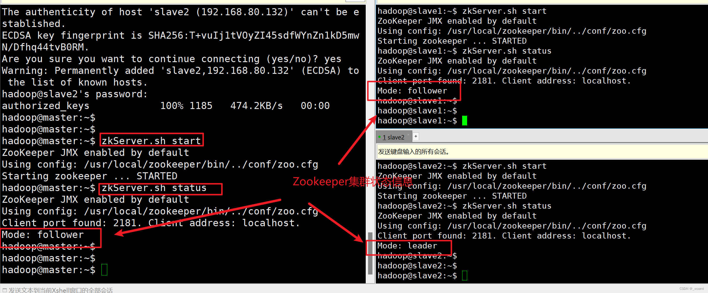 Zookeeper集群和Hadoop集群安装（保姆级教程）_zk hadoop集群搭建CSDN博客