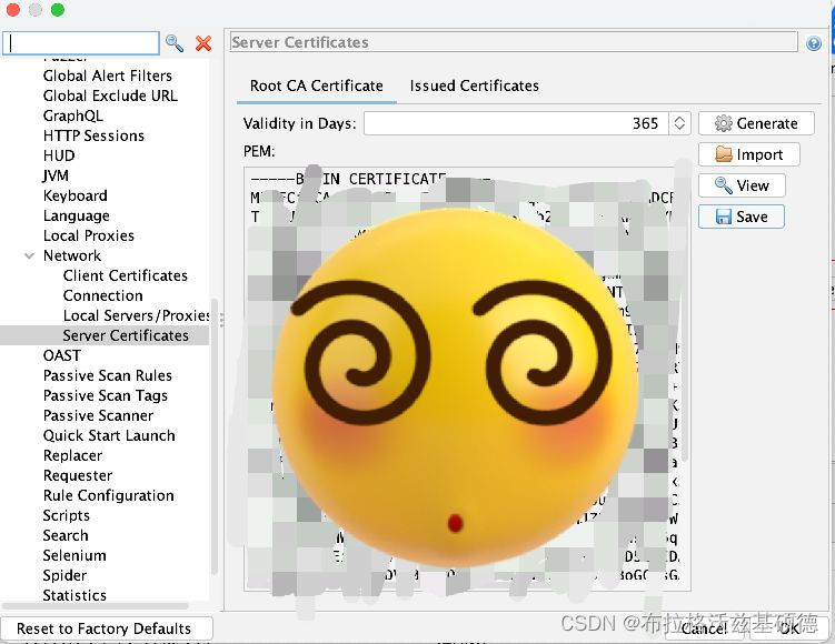 OWASP ZAP mac chrome代理配置&取消URL强制Https【已解决】_owasp zap下载 macCSDN博客