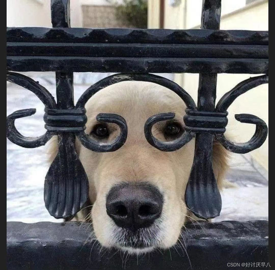 strlen和sizeof的初步理解 IT宝库