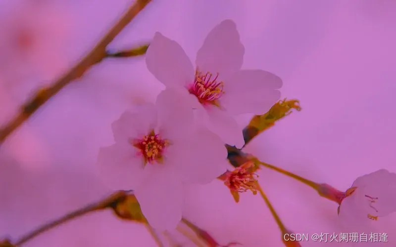 TypeError Cannot handle this data type (1, 1, 3), ＜f8CSDN博客