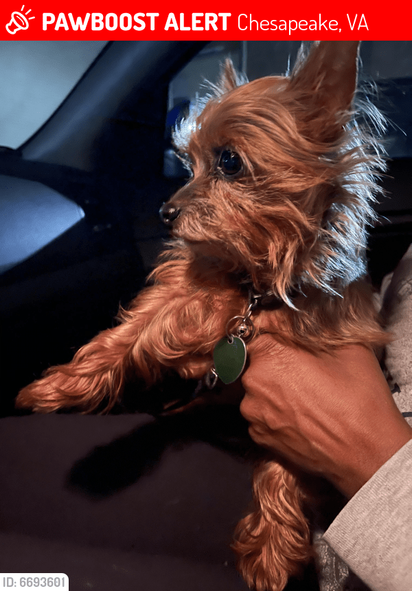 Lost Male Dog in Chesapeake, VA 23322 Named Mooky (ID 6693601) PawBoost