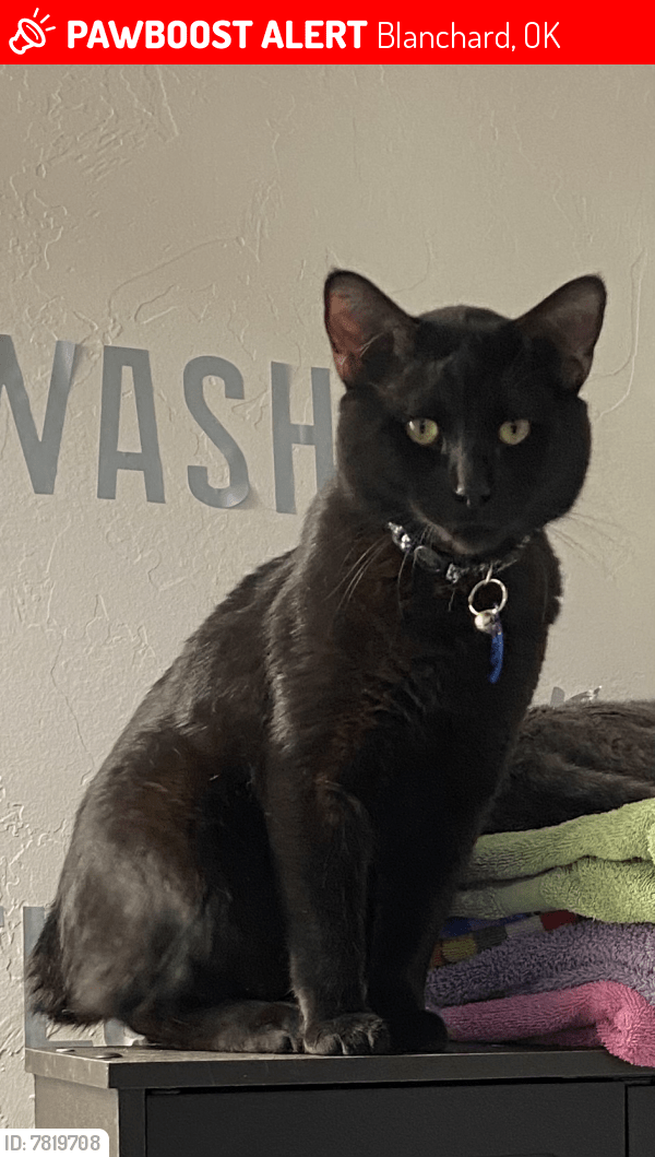 Blanchard, OK Lost Male Cat, Charles Is Missing PawBoost