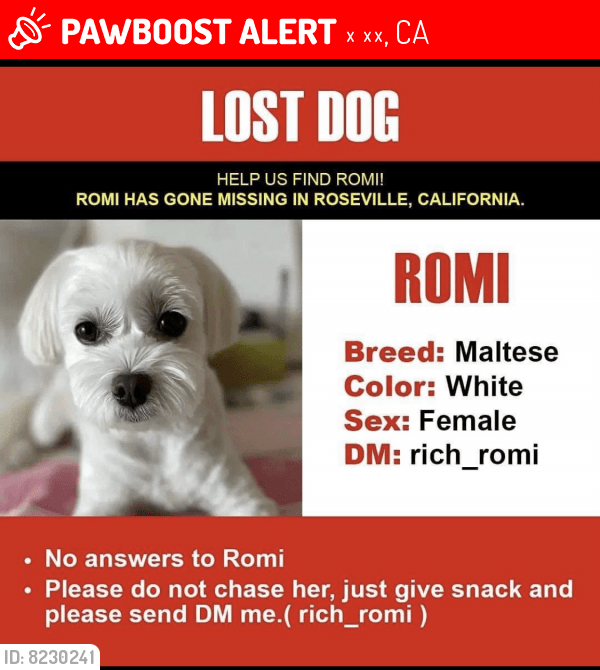 Lost Female Dog in 펜 밸리, CA 95946 Named Romi (ID 8230241) PawBoost