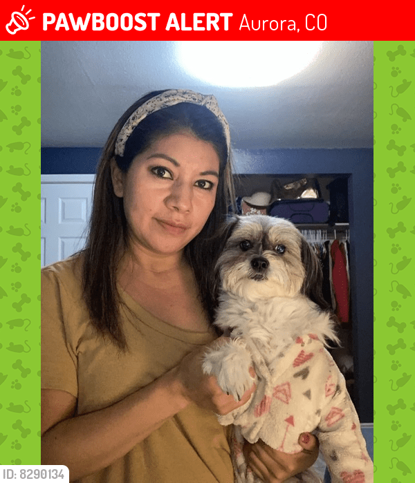 Lost Female Dog in Aurora, CO 80011 Named Ashley (ID 8290134) PawBoost