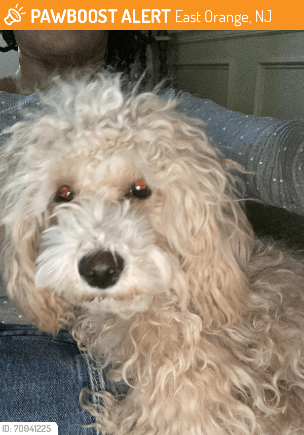 Hoffman Blvd East Orange Nj at Virginia Vega blog