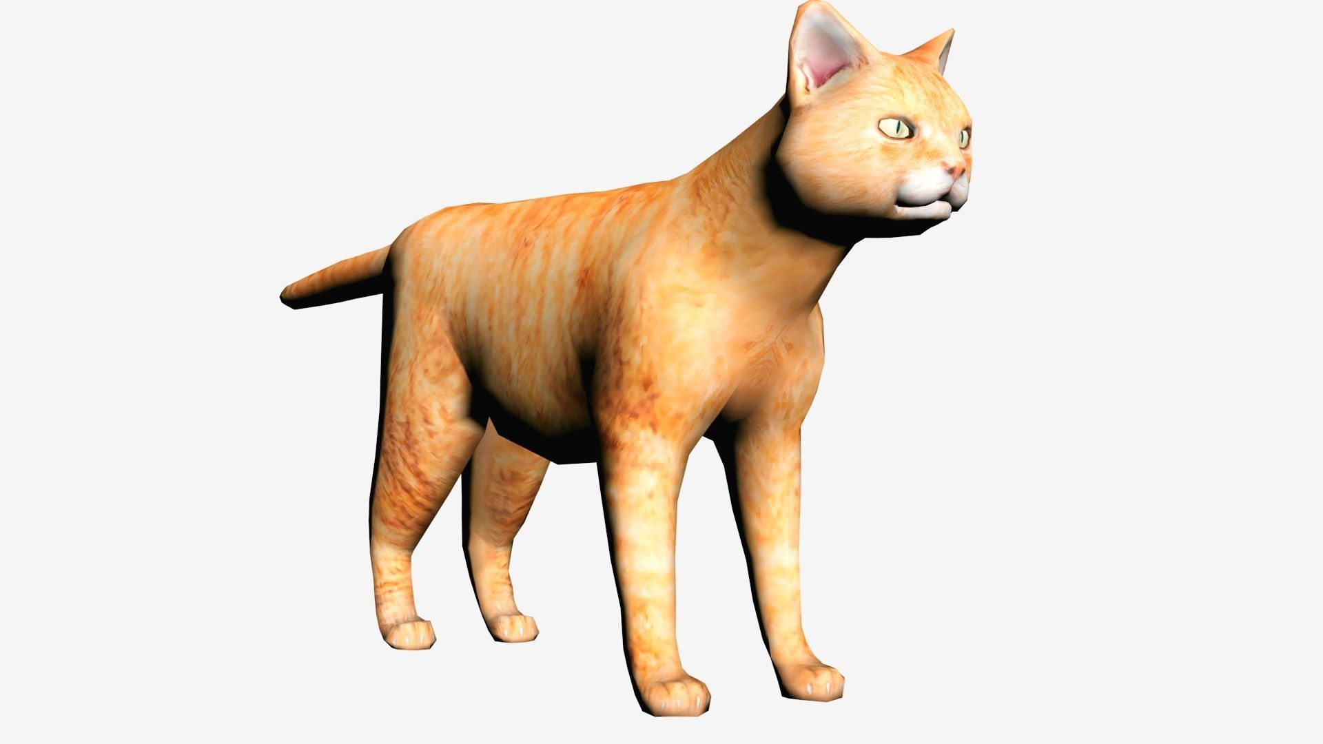 Cat 3D model VR / AR ready CGTrader