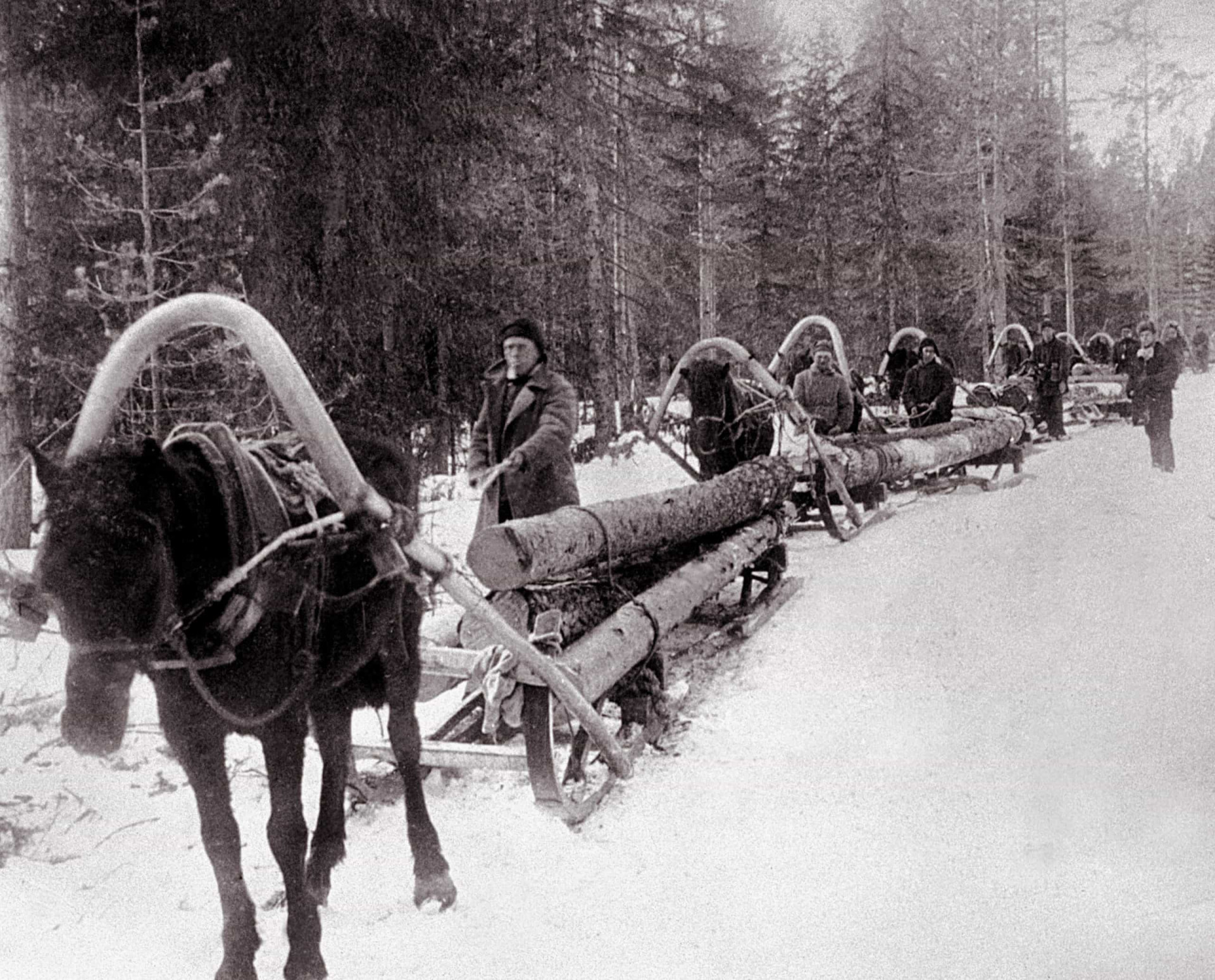 The terror that was the Russian Gulag