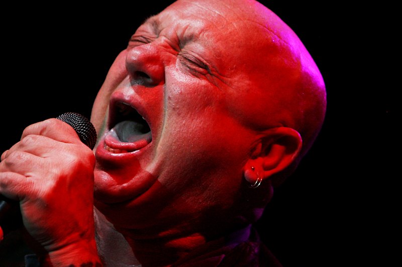 viscera net worth