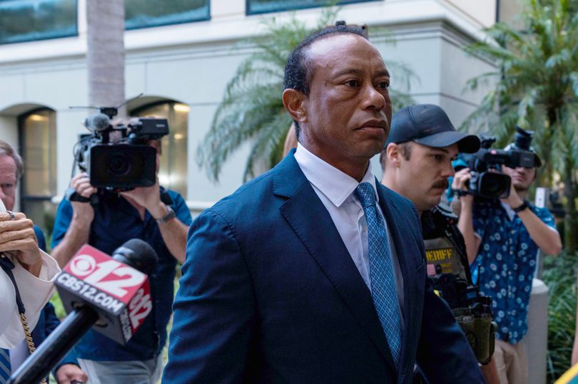 what is tiger woods net worth 2022 - Ilustrasi 3