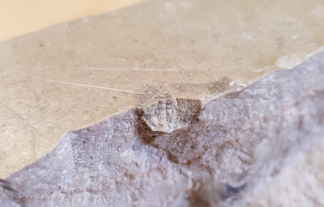 Lille Mystère autour d'une grosse pierre tombée du ciel