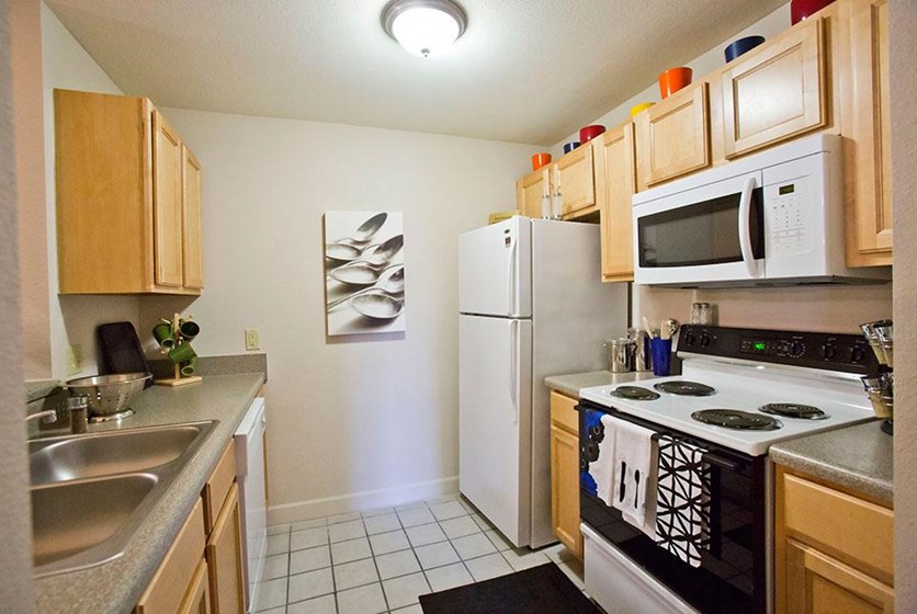 Knights Circle Apartments UCF Orlando