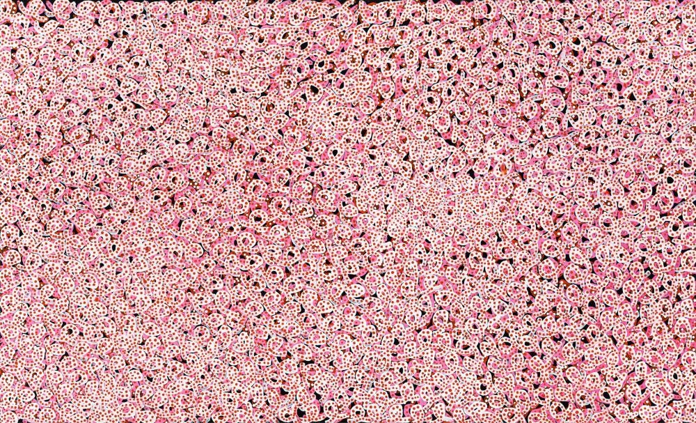 Felicity Robertson. Australia (Aboriginal) Works in Past Sales