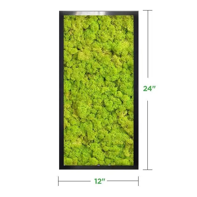 24" x 24" Moss Wall Art Panel Kit