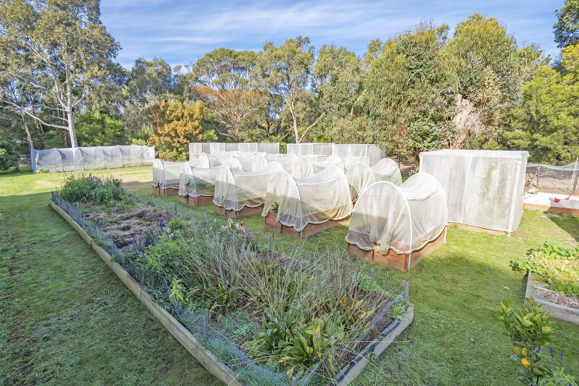 Real Estate For Sale 849 Great Ocean Road Bellbrae , VIC